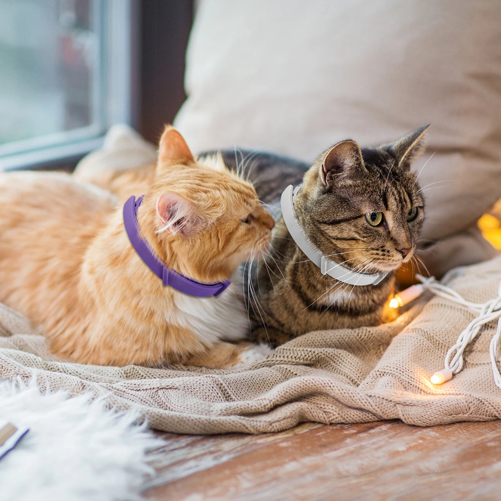 Pet Calming Collar For Cats Dogs Adjustable Anxiety Pheromone Reducing Pet Collar Lasting Natural Calm Relax Soothing Collars