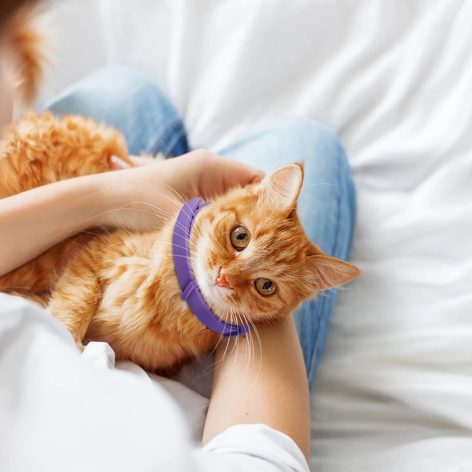 Pet Calming Collar For Cats Dogs Adjustable Anxiety Pheromone Reducing Pet Collar Lasting Natural Calm Relax Soothing Collars